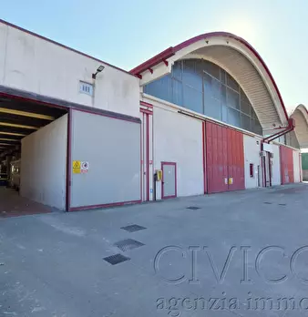 Foto annuncio 11