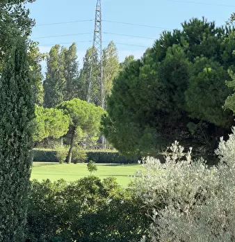 Foto annuncio 13