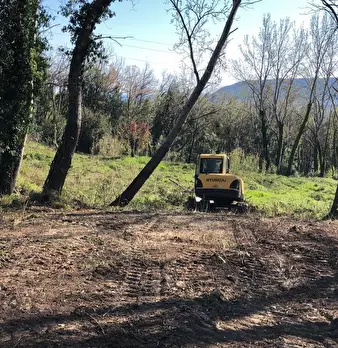 Foto annuncio 12