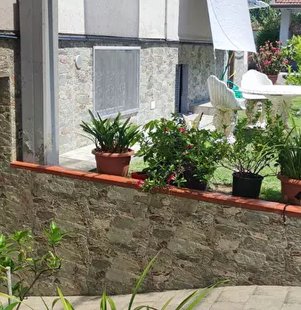 Foto annuncio 19