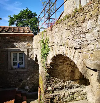Foto annuncio 40