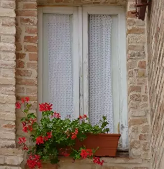 Foto annuncio 41