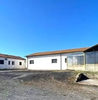 Foto annuncio 7