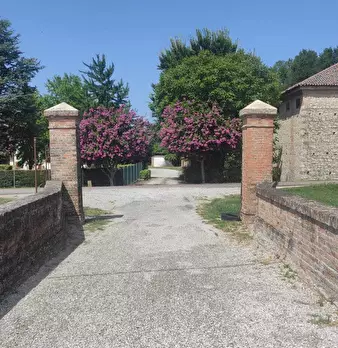 Foto annuncio 29