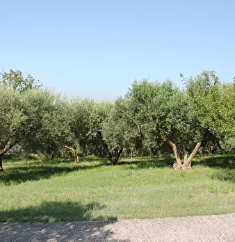 Foto annuncio 14