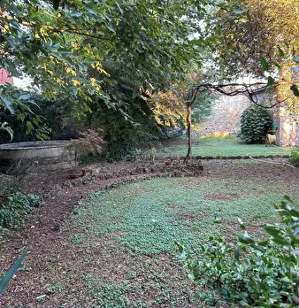 Foto annuncio 22