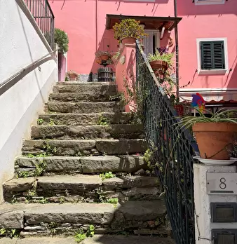 Foto annuncio 34