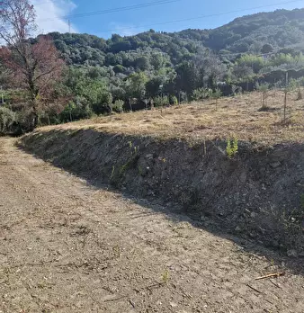 Foto annuncio 11