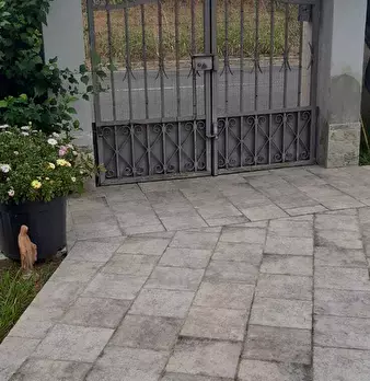 Foto annuncio 31