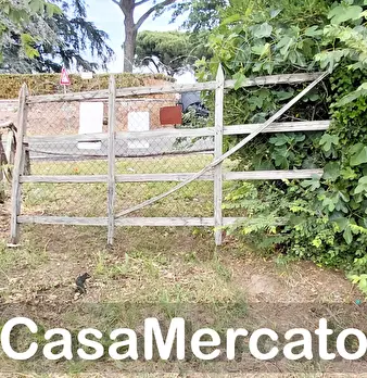 Foto annuncio 13
