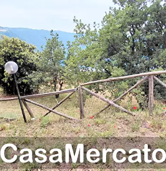 Foto annuncio 15