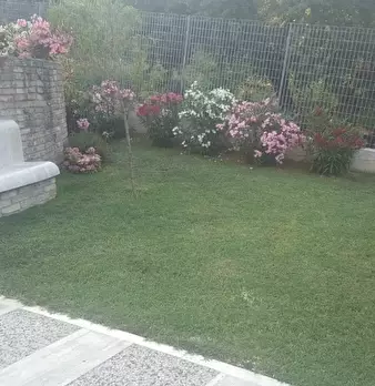 Foto annuncio 15