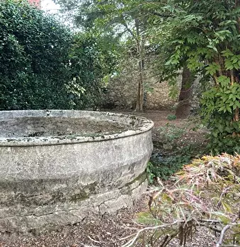 Foto annuncio 27