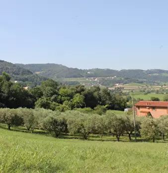 Foto annuncio 11