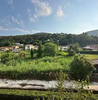 Foto annuncio 7