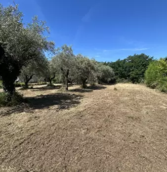 Foto annuncio 10