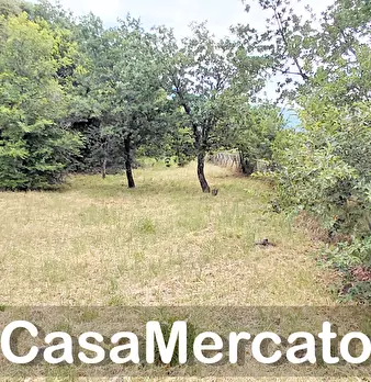 Foto annuncio 11