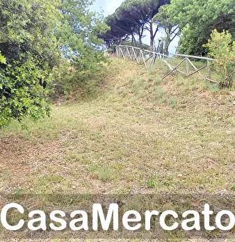 Foto annuncio 12