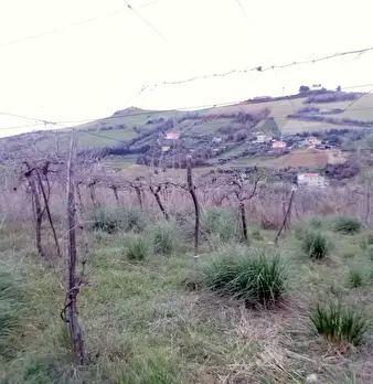 Foto annuncio 20