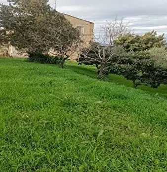 Foto annuncio 5