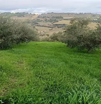 Foto annuncio 7