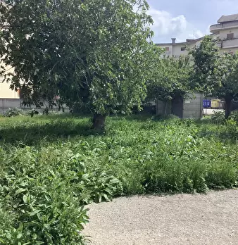 Foto annuncio 3
