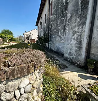 Foto annuncio 7
