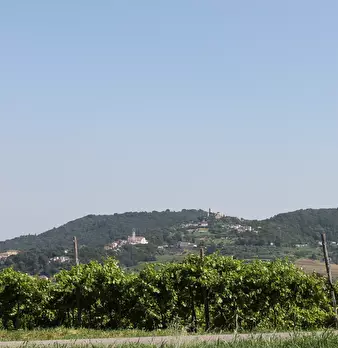 Foto annuncio 21