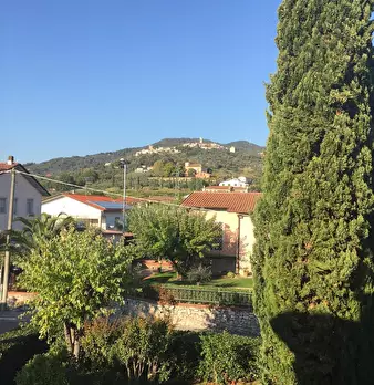 Foto annuncio 19