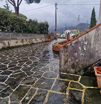 Foto annuncio 38