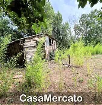 Foto annuncio 4