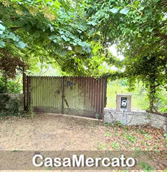 Foto annuncio 8
