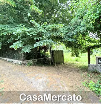 Foto annuncio 9