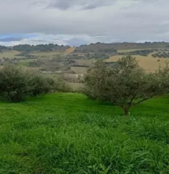Foto annuncio 8