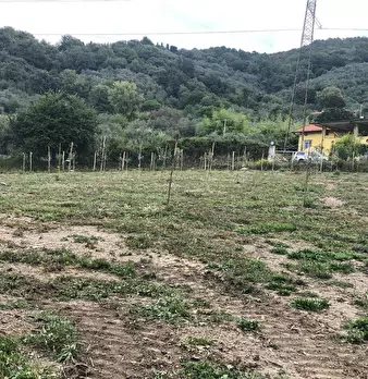 Foto annuncio 6