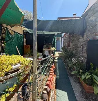 Foto annuncio 36