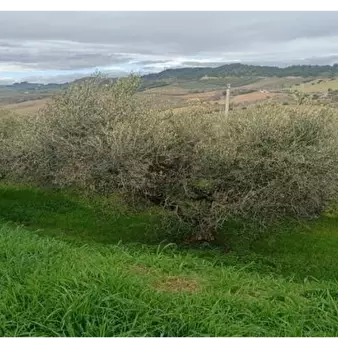 Foto annuncio 19