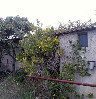 Foto annuncio 10