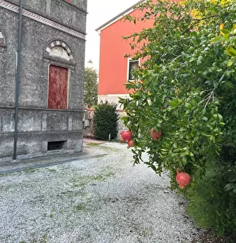Foto annuncio 28