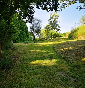 Foto annuncio 23