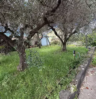 Foto annuncio 13