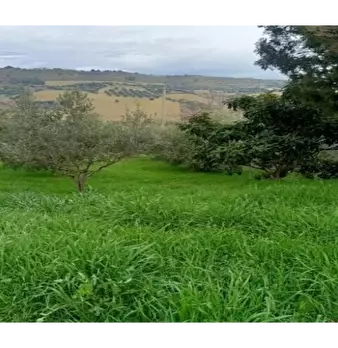 Foto annuncio 4