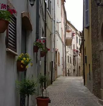 Foto annuncio 38
