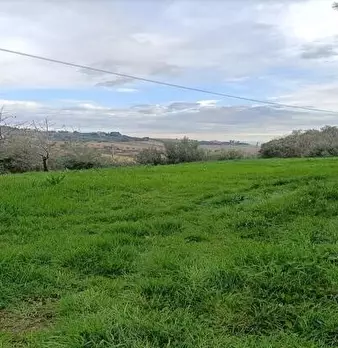 Foto annuncio 6