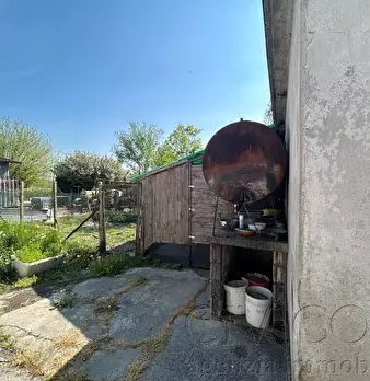Foto annuncio 11