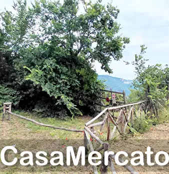 Foto annuncio 6