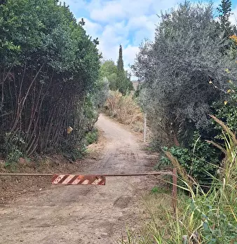 Foto annuncio 25