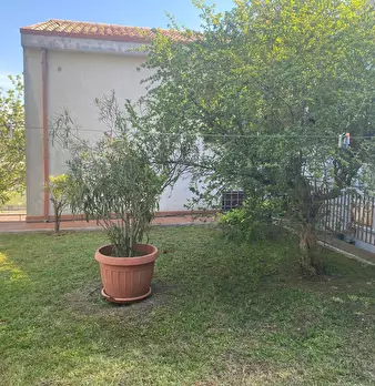 Foto annuncio 51
