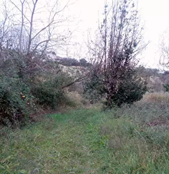 Foto annuncio 17