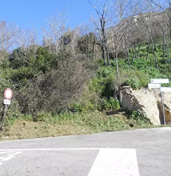 Foto annuncio 6